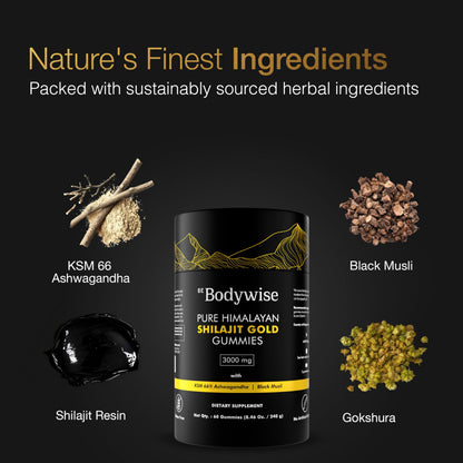 Be Bodywise Pure Himalayan Shilajit Gummies Gold